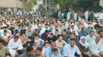 خطيب مسجد الفتاح العليم يحدد ركائز بناء مجتمع متماسك تسوده المودة والسكينة